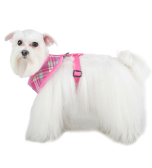 Puppia Spring Harness A