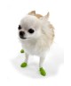 Pawz Dog Boots