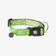 Max & Molly Smart ID Dog Collar - Kiwi