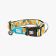Max & Molly Smart ID Dog Collar - Sweet Pineapple
