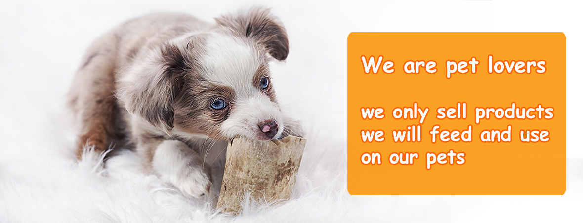 Wise Pet - Pet Shop Hong Kong | Online Pet Shop | Dog Food & Cat Food  Delivery
